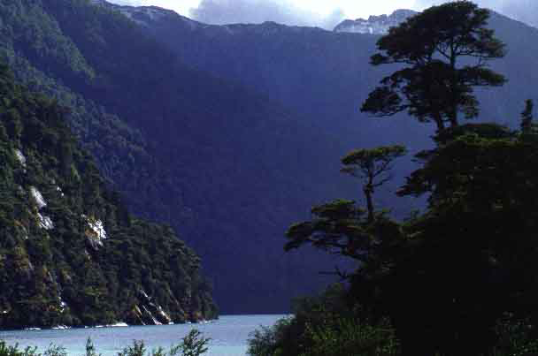 Puerto Blest, Río Negro, Argentina